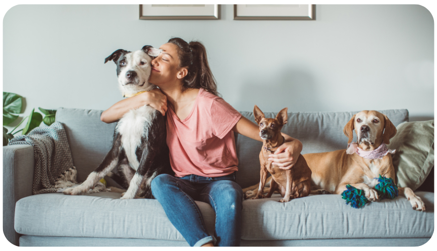 Por que você precisa de um seguro para animais de estimação: os benefícios e as coberturas disponíveis